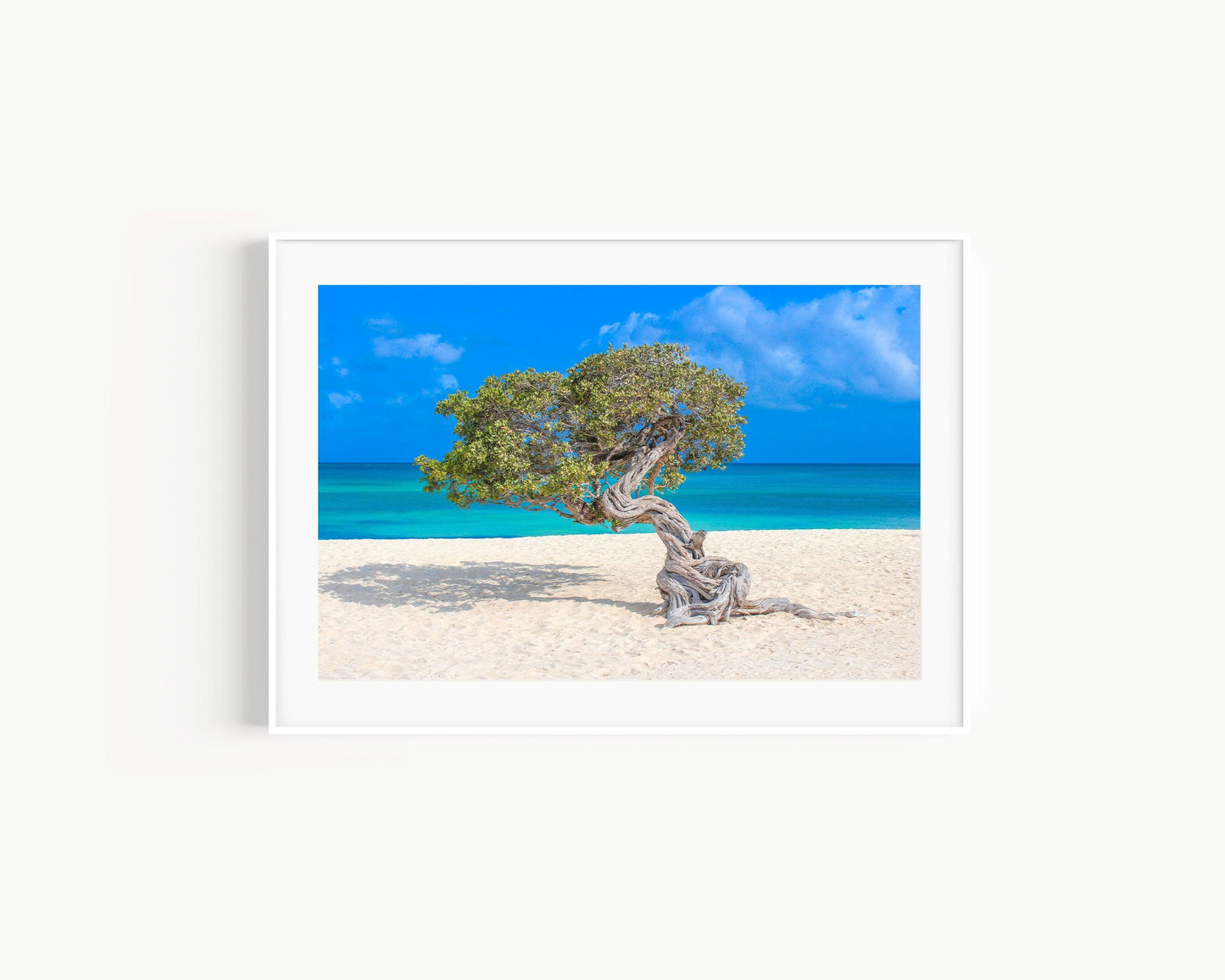Divi Divi tree on Eagle Beach Aruba with turquoise Caribbean Sea and bright blue sky in the background — vibrant tropical wall art and beach photography print