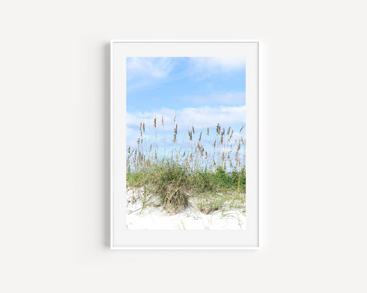 Beach Dunes Photography Print II - Departures Print Shop