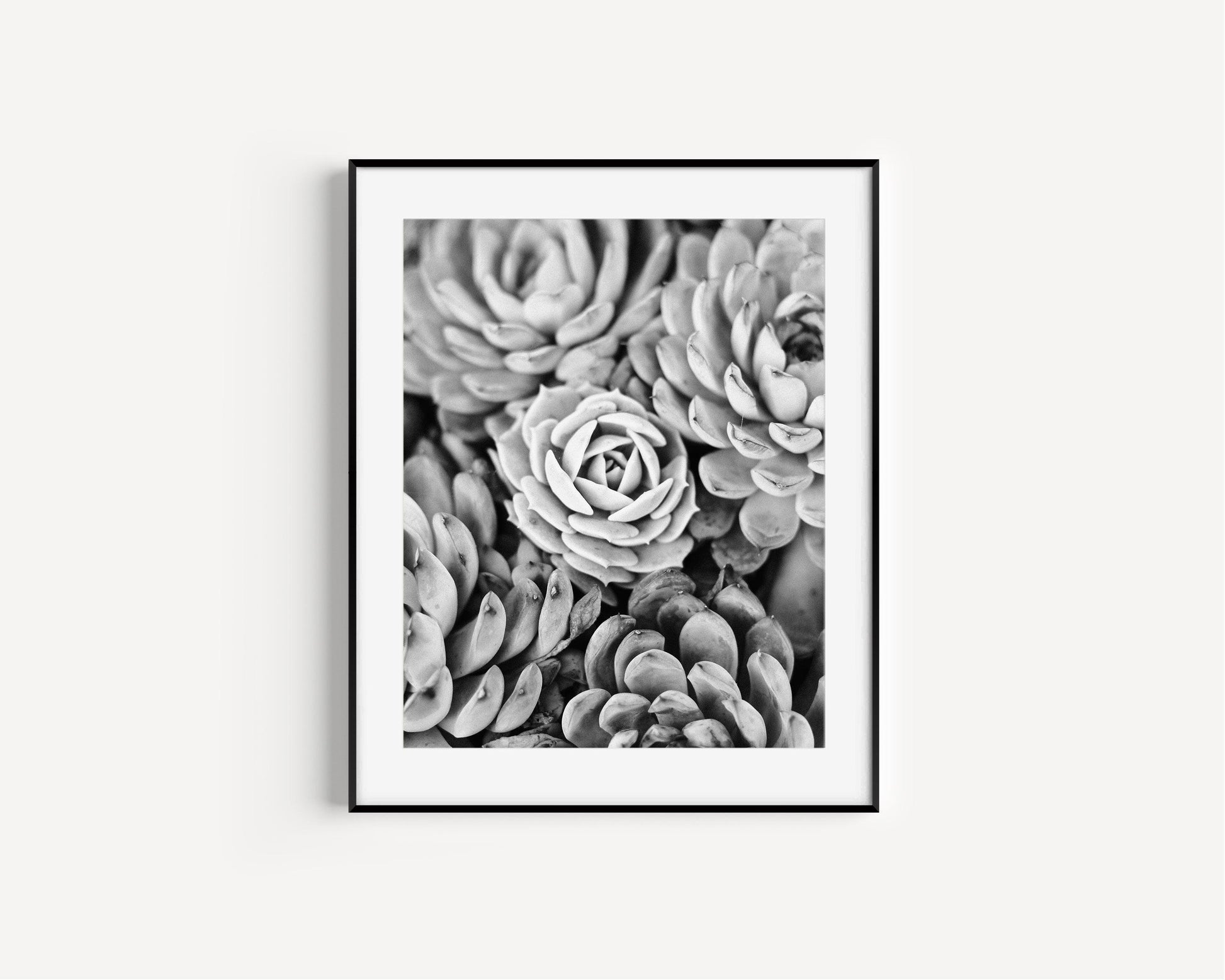 Black and White Cactus Print - Departures Print Shop