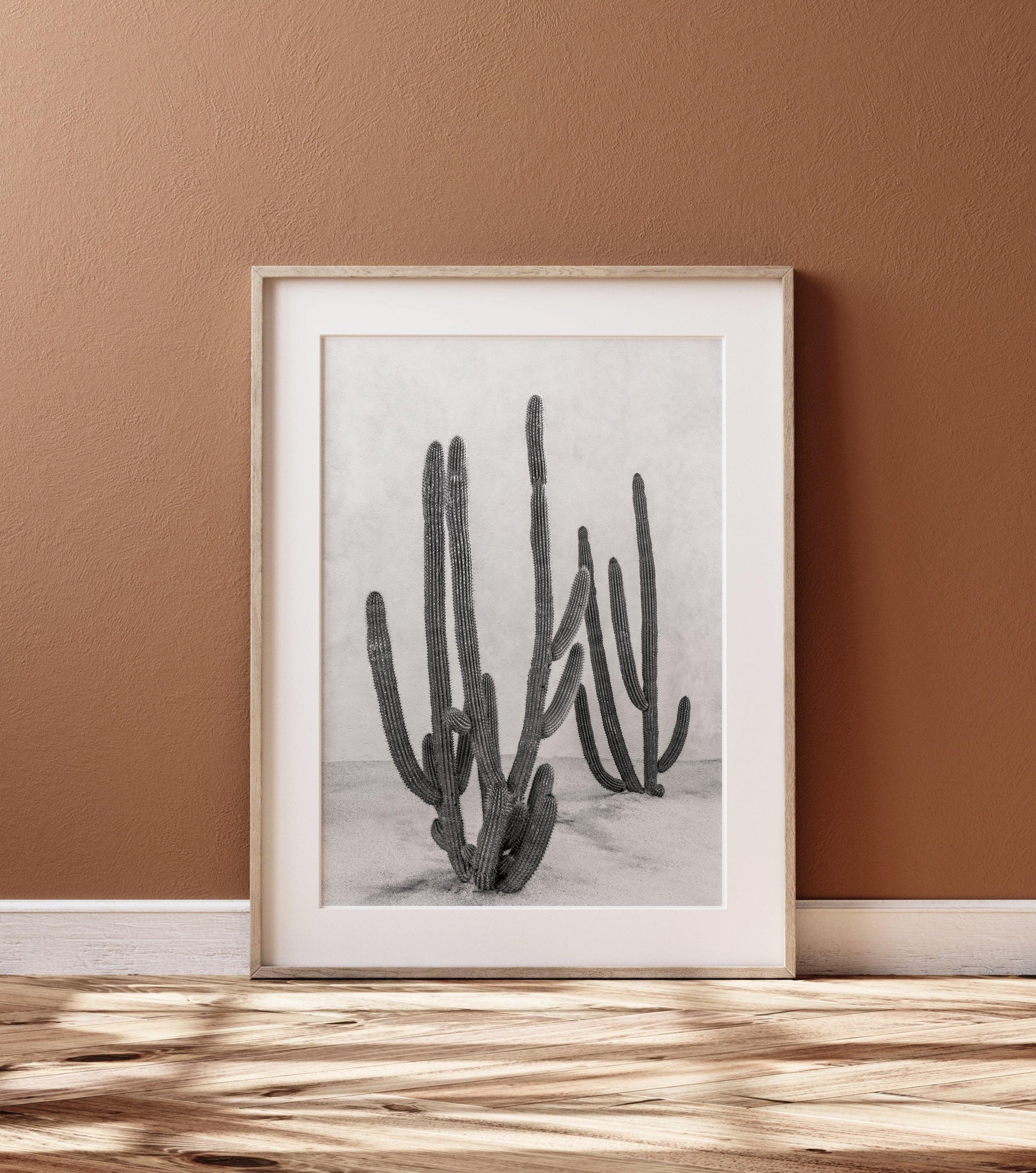 Black and White Cactus Print II | Cabo Mexico Photography Print - Departures Print Shop