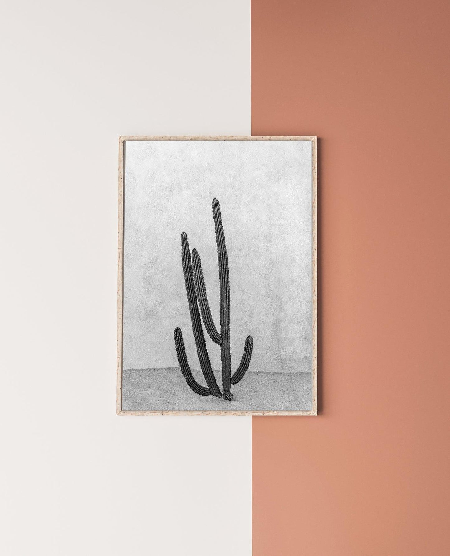 Black and White Cactus Print | Cabo Mexico Photography Print - Departures Print Shop