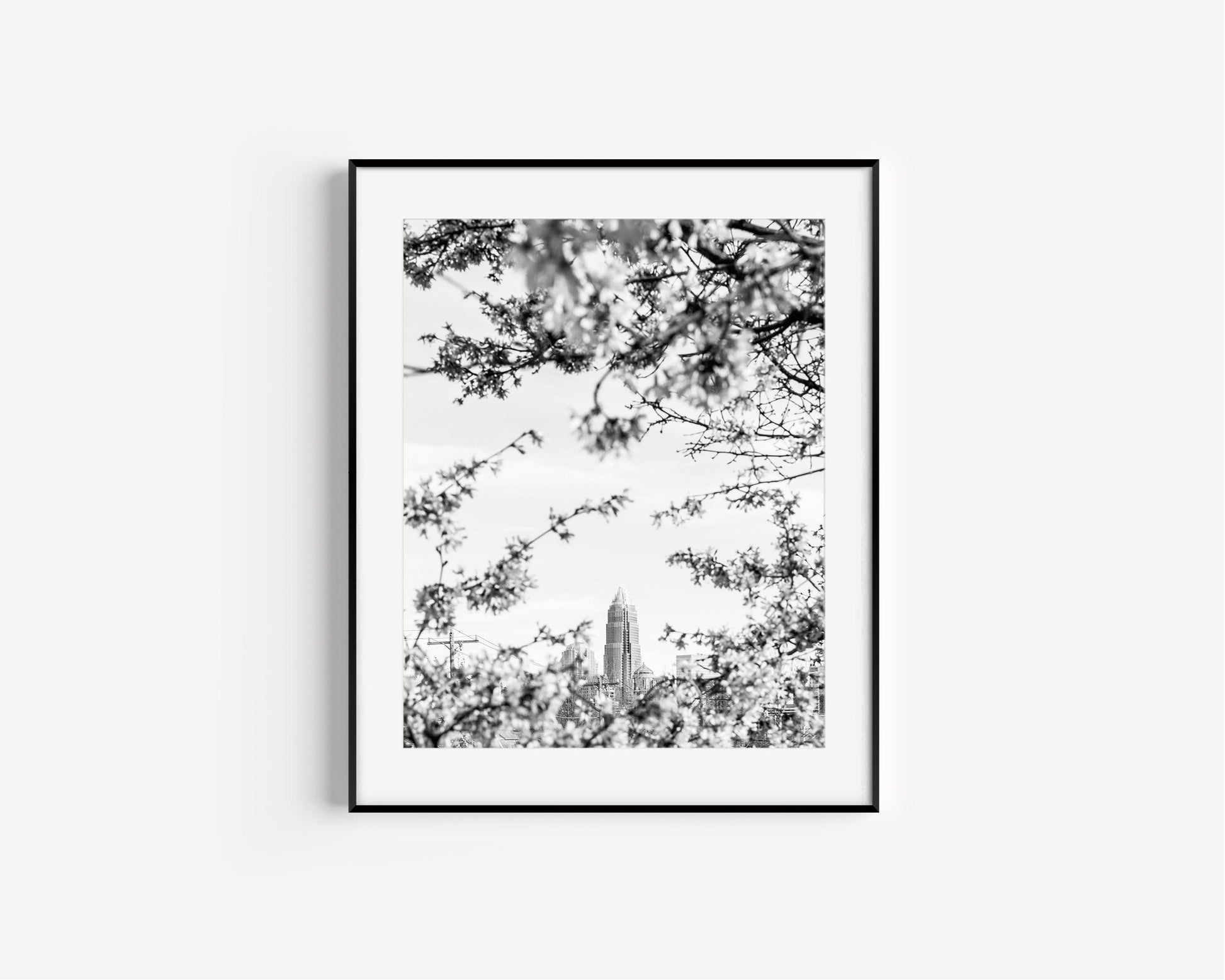 Black and White Charlotte Skyline Print - Departures Print Shop