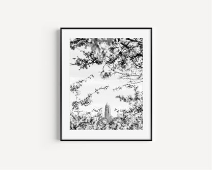 Black and White Charlotte Skyline Print - Departures Print Shop