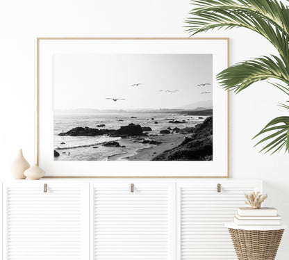 Black and White Coastal Waves & Seagulls - Departures Print Shop