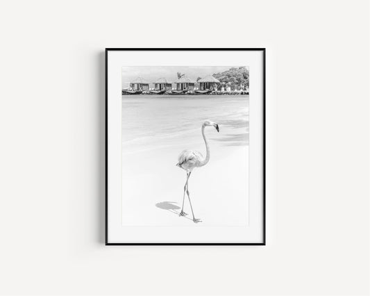 Black and White Flamingo Print - Departures Print Shop