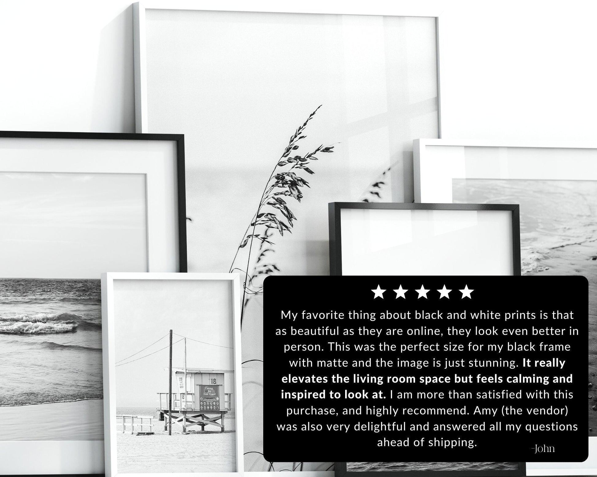 Black and White Flamingo Photography Print II | Aruba Photography Print - Departures Print Shop