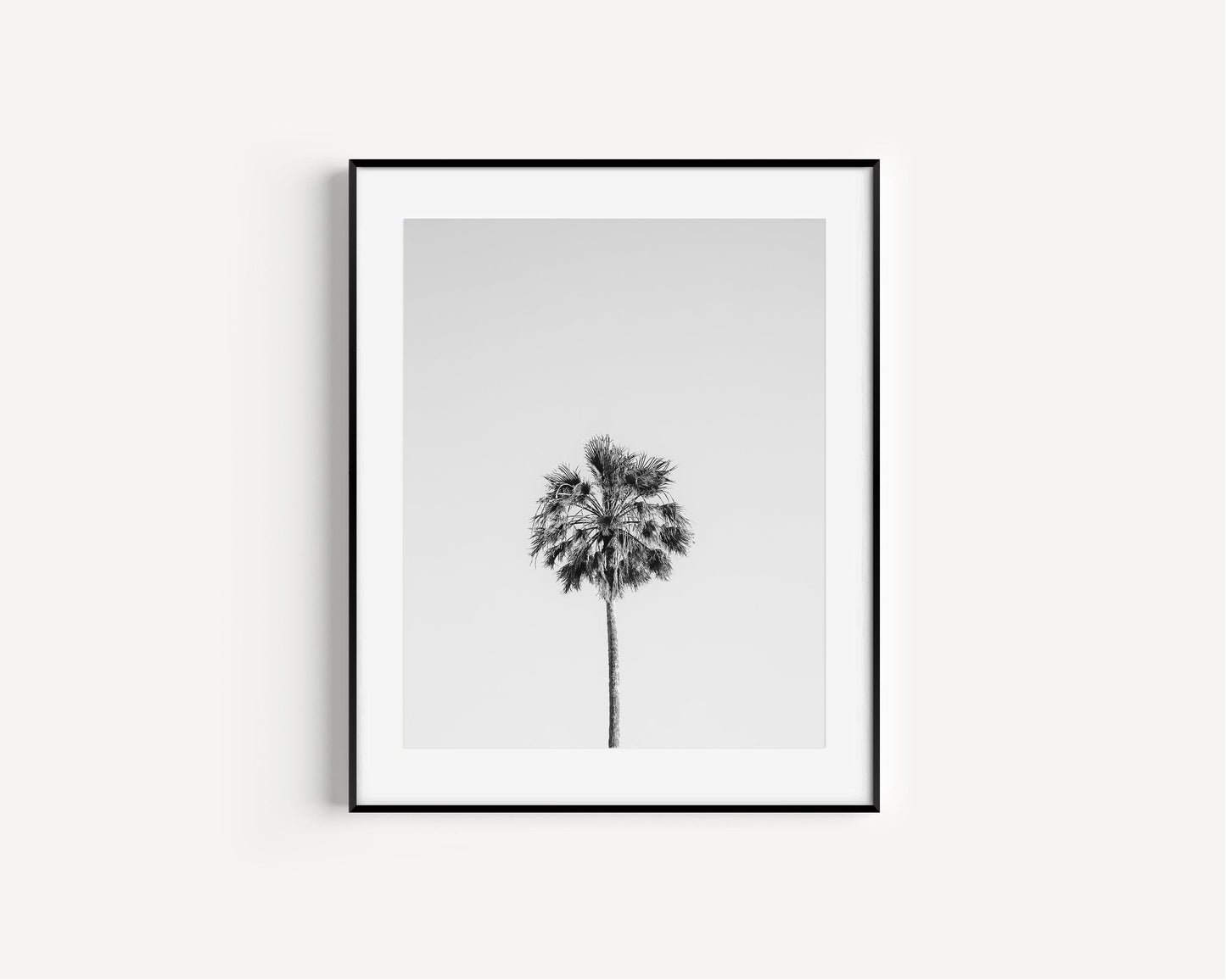 Black and White Palm Tree III | Beach Photography Print - Departures Print Shop