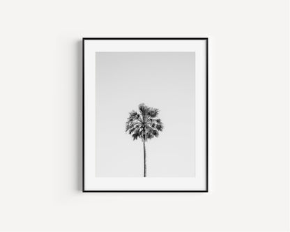 Black and White Palm Tree III | Beach Photography Print - Departures Print Shop