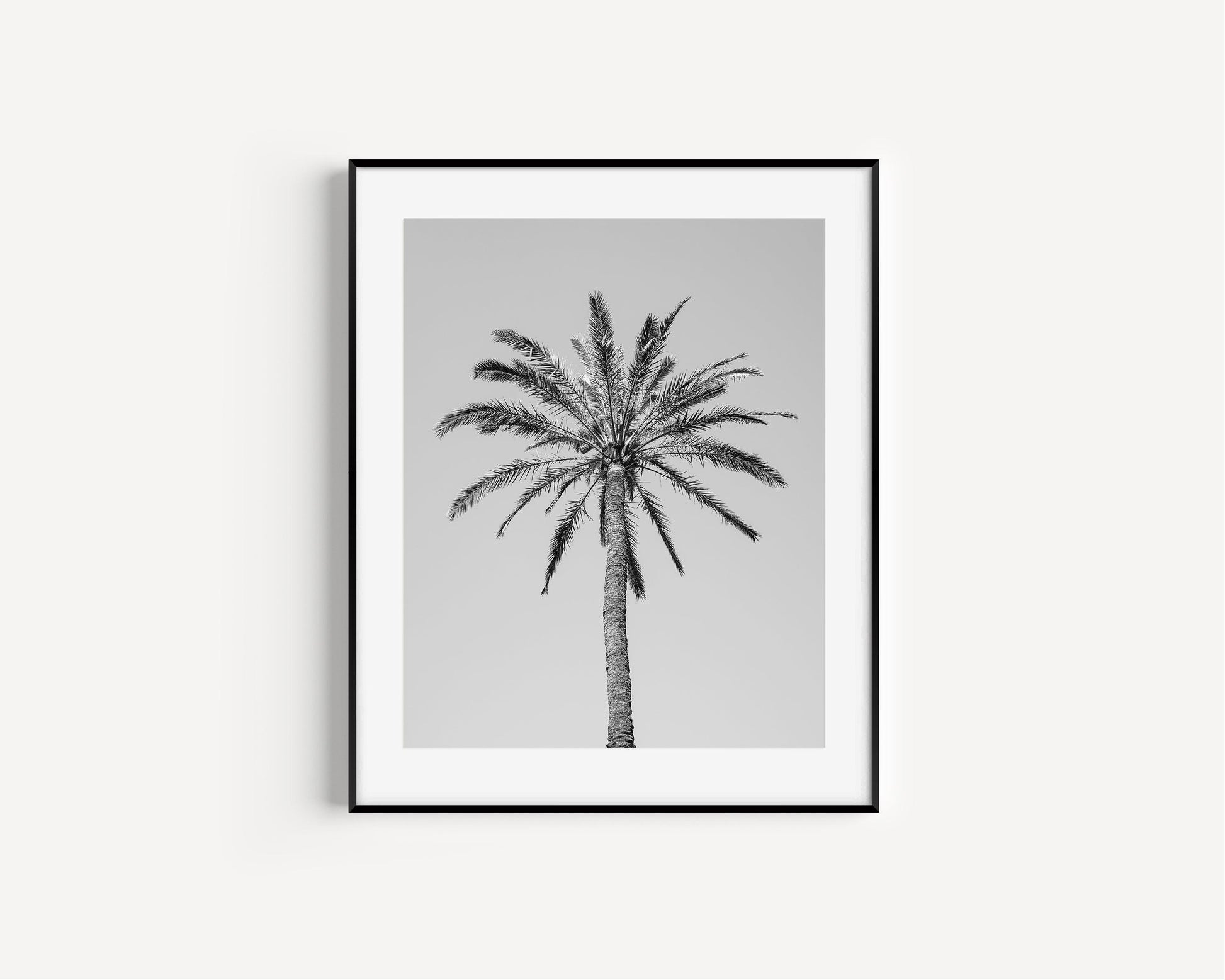 Black and White Palm Tree | Beach Photography Print - Departures Print Shop