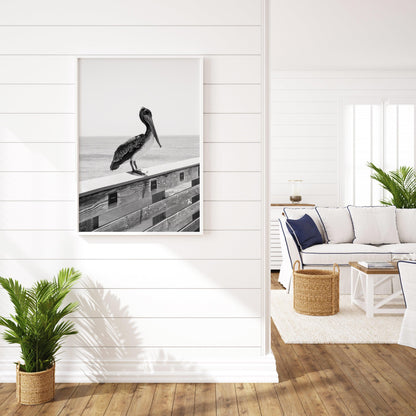 Black and White Pelican Beach Print - Departures Print Shop