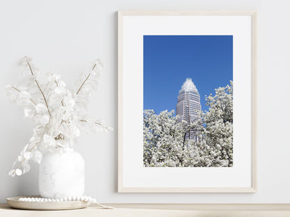 Charlotte Spring Blossom Print - Departures Print Shop