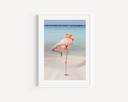 Flamingo Beach Aruba Print - Departures Print Shop