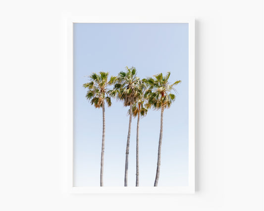 Neutral photography print of four tall palm trees with blue sky in California, minimalist beach art style, perfect for coastal and boho decor.