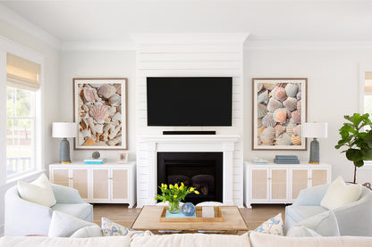 neutral seashell beach print set