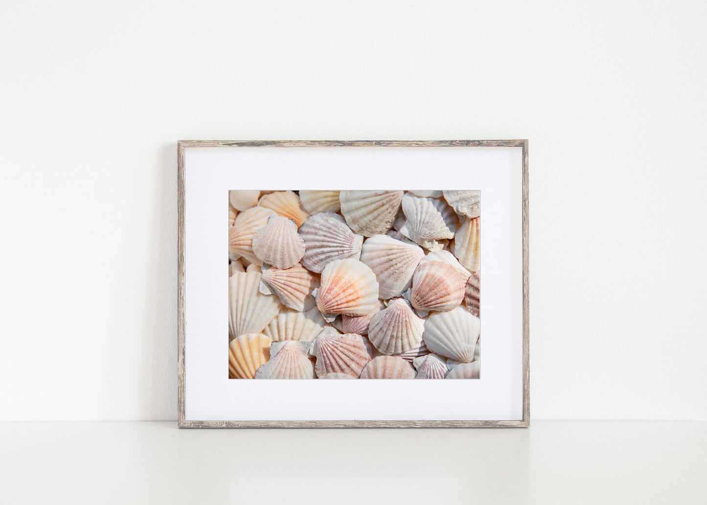 Neutral Seashell Beach Print