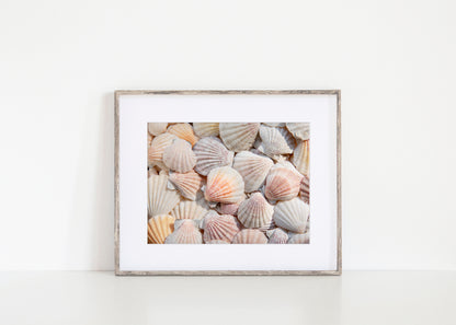 Neutral Seashell Beach Print