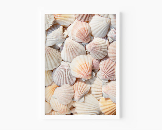 Neutral Seashell Beach Print