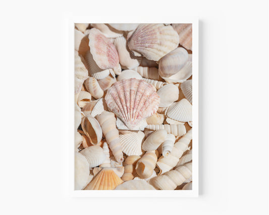Vertical photograph of neutral-toned seashells with soft lighting and pastel shades — coastal wall art with a minimalist beach house aesthetic.