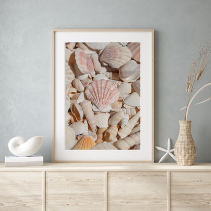 Vertical photograph of neutral-toned seashells with soft lighting and pastel shades — coastal wall art with a minimalist beach house aesthetic.