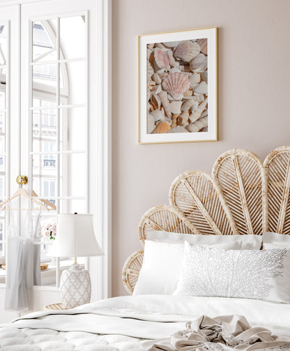 Vertical photograph of neutral-toned seashells with soft lighting and pastel shades — coastal wall art with a minimalist beach house aesthetic.