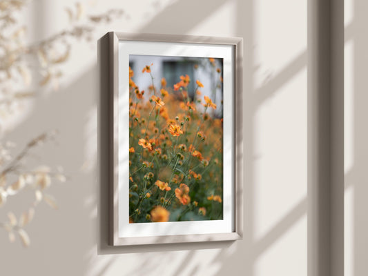 Orange Wildflowers Floral Photography Print - Departures Print Shop