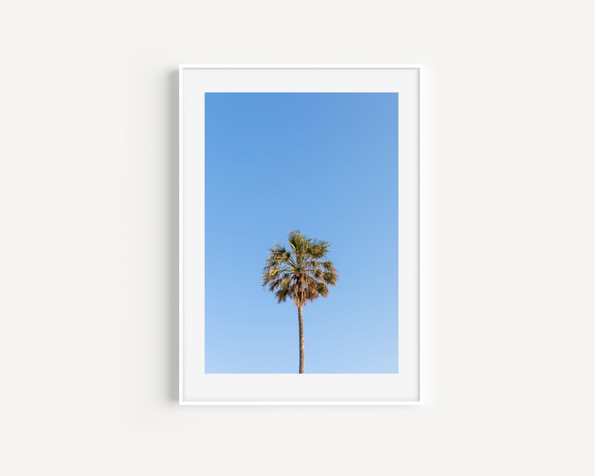 Palm Tree II | Beach Photography Print - Departures Print Shop