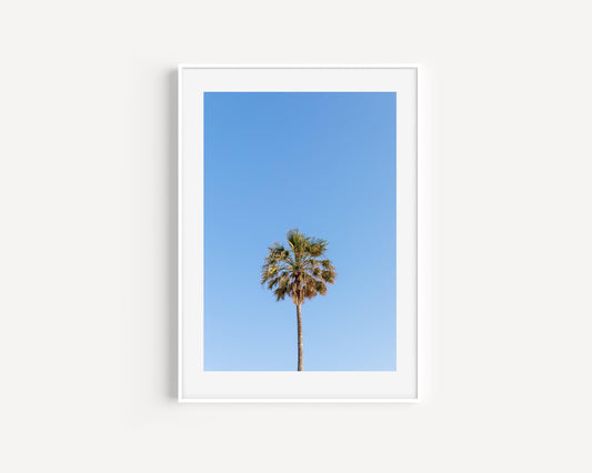 Palm Tree II | Beach Photography Print - Departures Print Shop