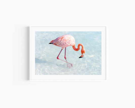 Pink Flamingo Aruba Print II - Departures Print Shop