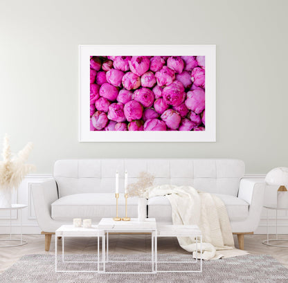 Pink Peonies II | Floral Photography Print - Departures Print Shop