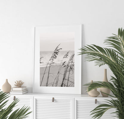 Black and White Sea Oats Photography Print