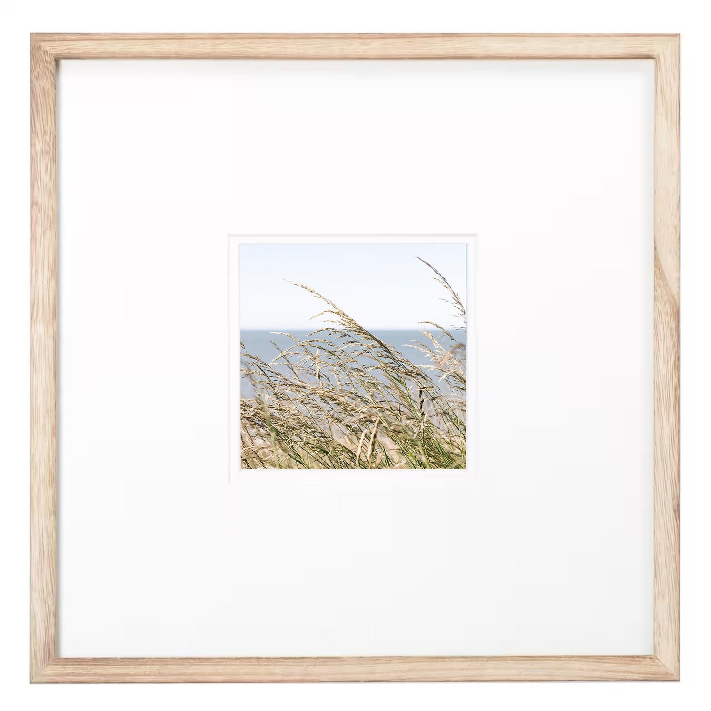 Sea Oats Square Beach Print - Departures Print Shop