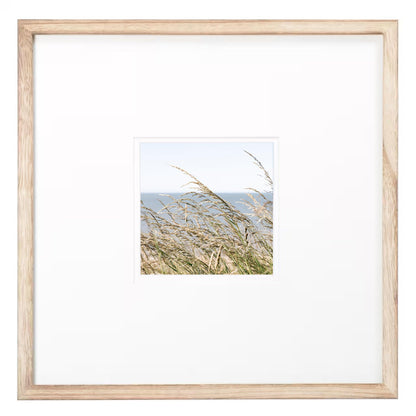 Sea Oats Square Beach Print - Departures Print Shop