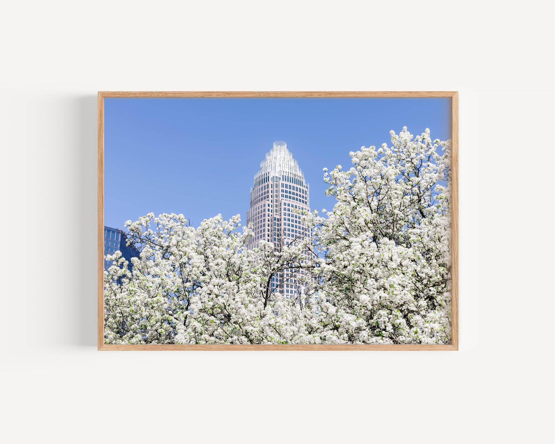 Spring Blossoms Charlotte Print - Departures Print Shop