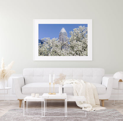 Spring Blossoms Charlotte Print - Departures Print Shop