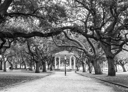 black and white print of charleston's battery park and white gardens gazebo. charleston style home charleston decor charleston decor style charleston trip charleston interiors charleston homes charleston sc charleston sc historic south carolina charleston charleston style charleston house charleston sc photography charleston sc pictures charleston sc style downtown charleston south carolina charleston sc downtown