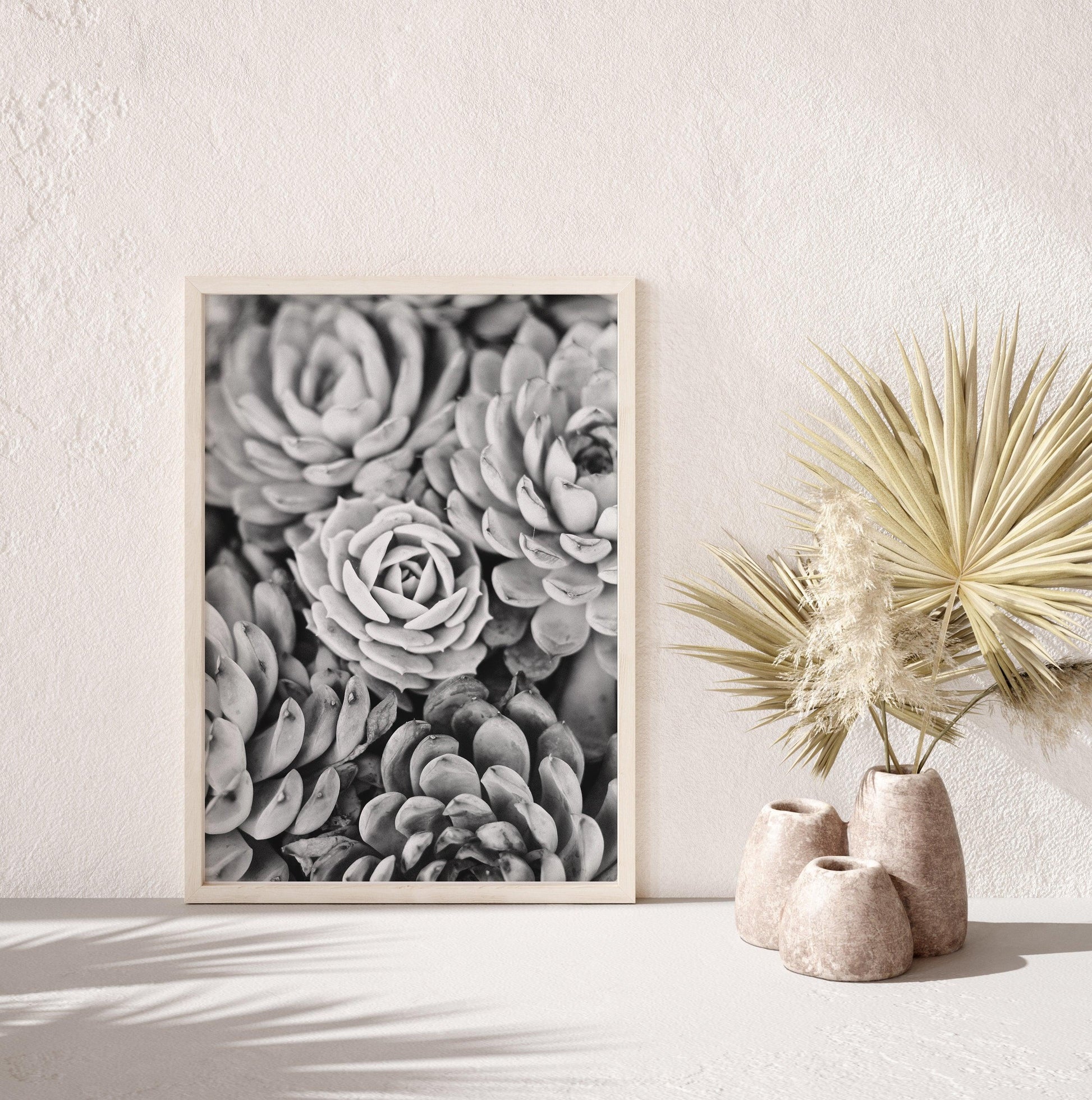 B&W Succulents - Departures Print Shop