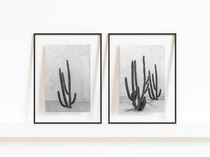 black and white cactus print. black and white cabo print. Cabo Mexico Print. Affordable Travel Print. Black and white cactus prints for a gallery wall. Cactus wall art. cactus art print. desert print. desert travel print. desert art. cactus land art print. cactus landscape print. desert landscape print. cactus wall art print. plant print. black and white plant print. desert cactus print.