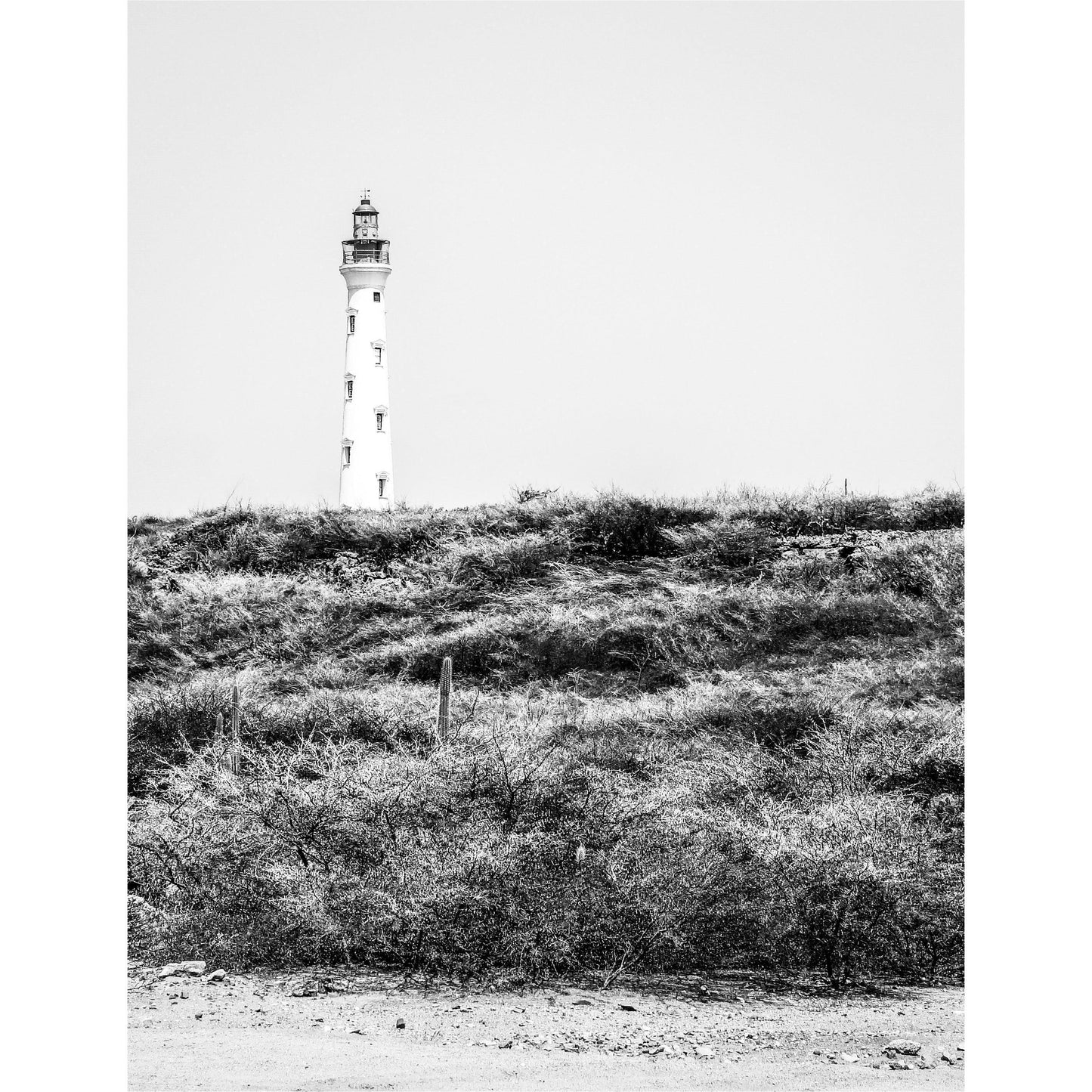 California Lighthouse | Lighthouse Print - Departures Print Shop