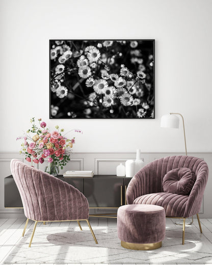 Black and White Daisies Photography | Floral Print - Departures Print Shop