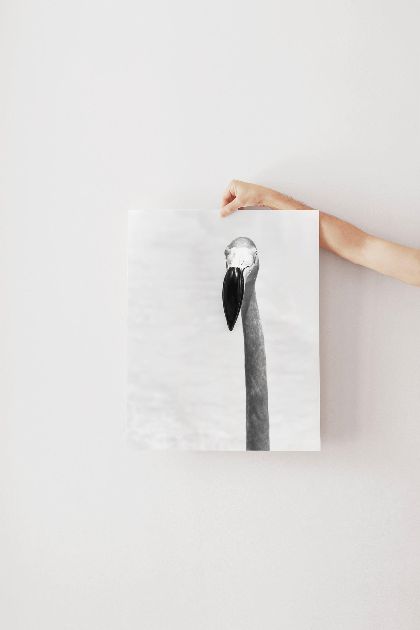 B&W Flamingo | Flamingo Print - Departures Print Shop