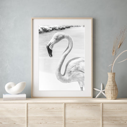 Black and White flamingo photography print