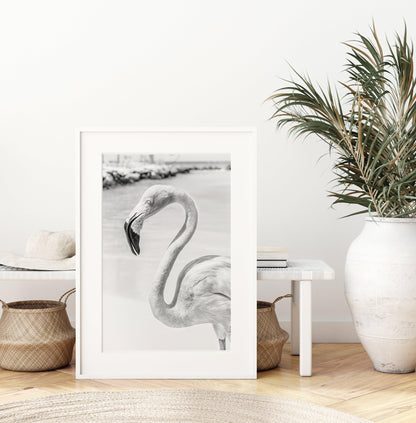 Black and White flamingo photography print