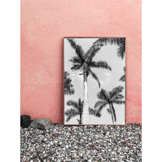 Look Up | Palm Tree Print - Departures Print Shop