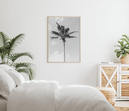 B&W Caribbean High Rise | Palm Tree Print - Departures Print Shop