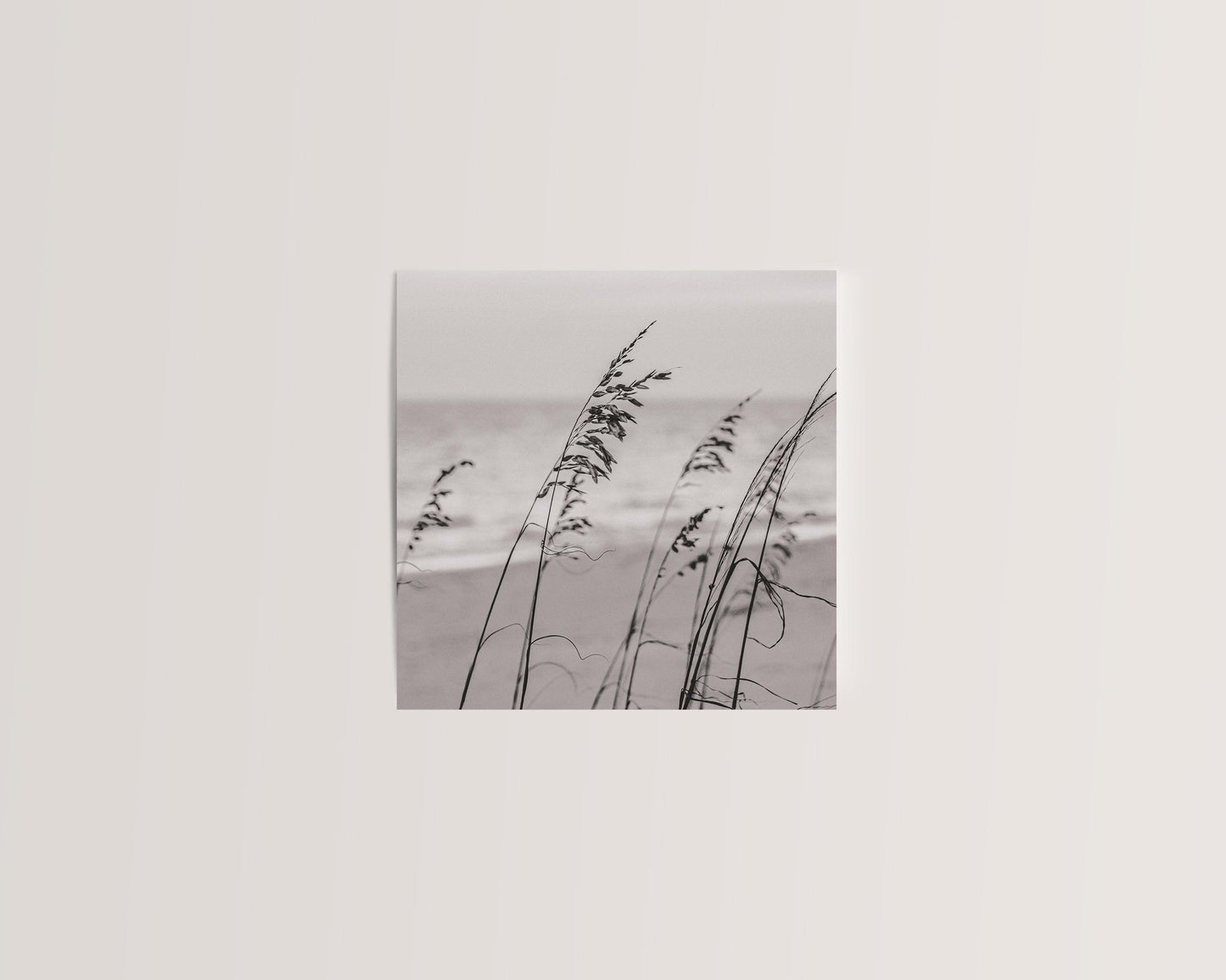 B&W Sea Oats | Square Beach Print - Departures Print Shop