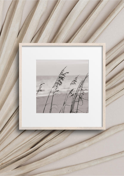 B&W Sea Oats | Square Beach Print - Departures Print Shop