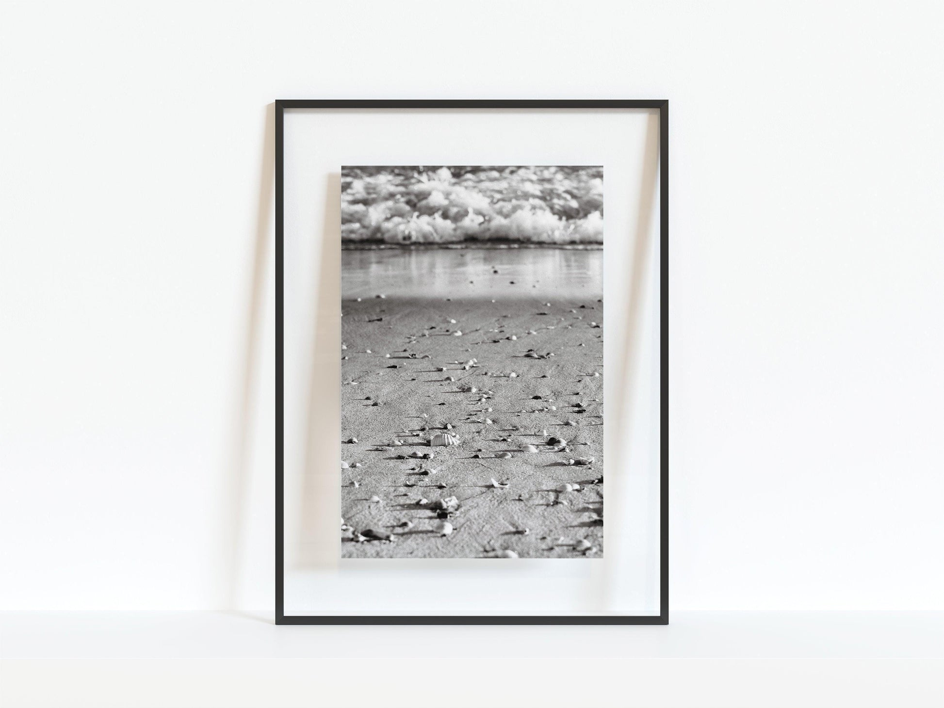 B&W Seashell | Beach Print - Departures Print Shop