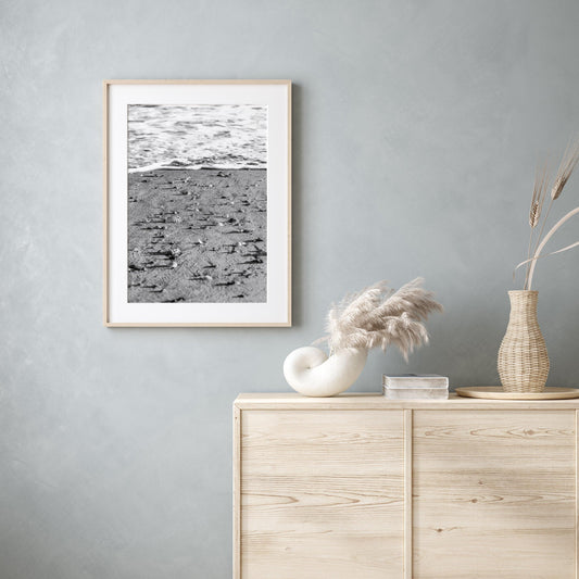 B&W Seashell II | Beach Print - Departures Print Shop