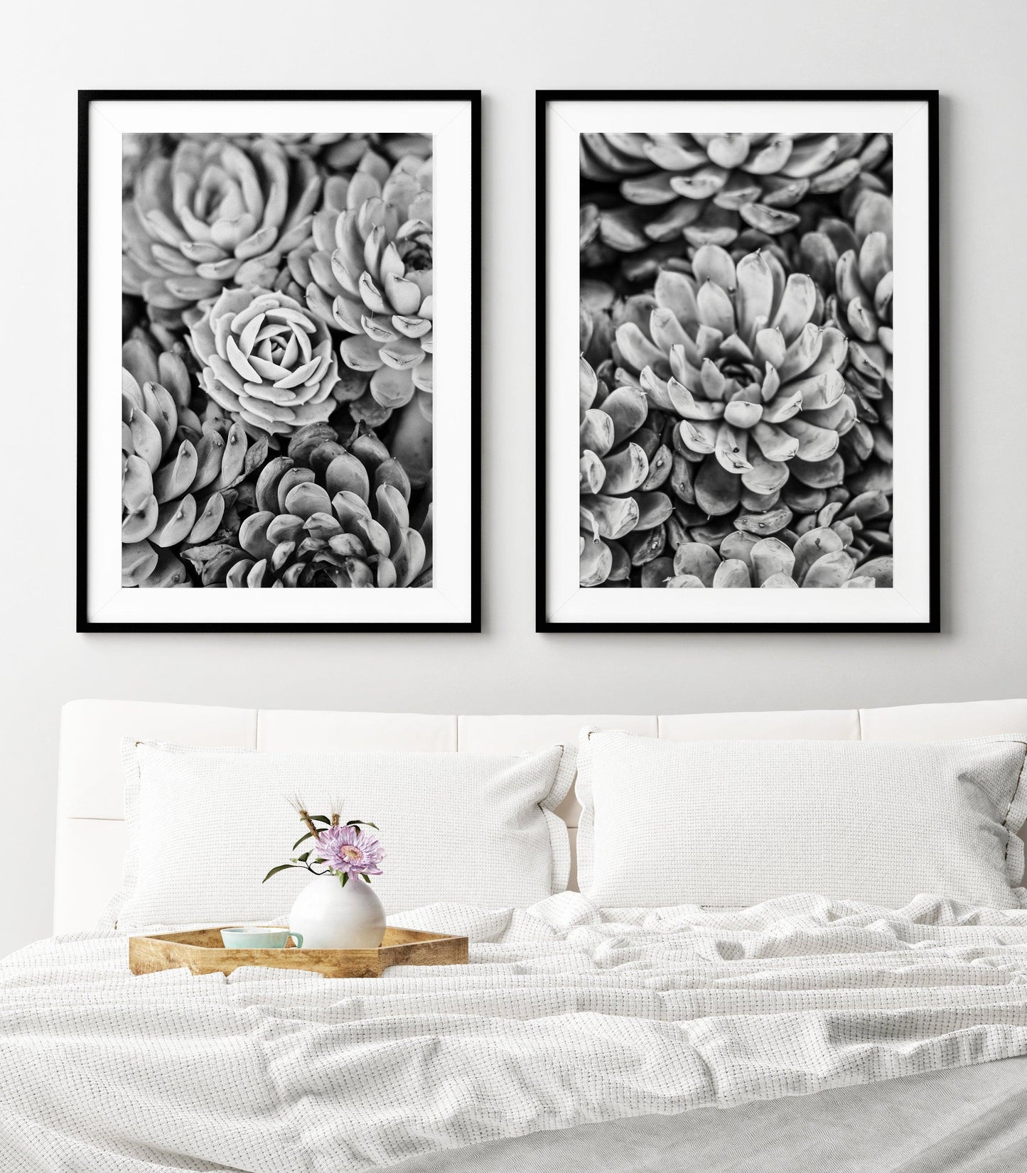 Black and White Succulent Photography Print - Departures Print Shop