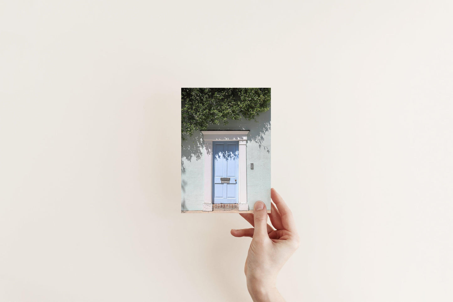 Charleston Doorways Photography Print | Charleston South Carolina Print - Departures Print Shop